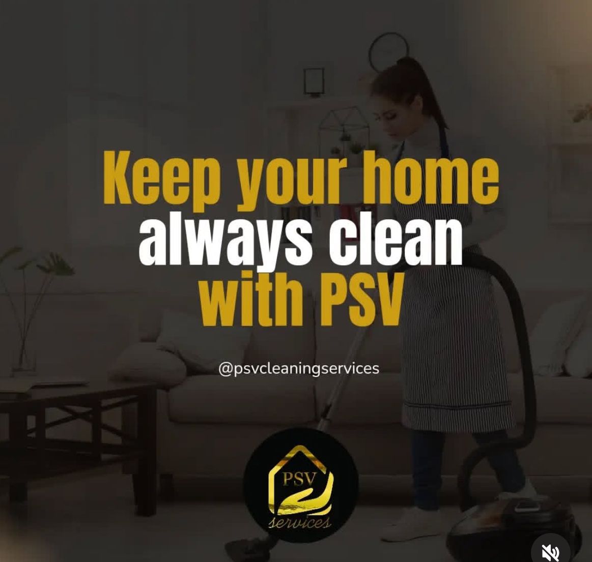 PSV Cleaning Services – Perfecting Your Home, One Clean at a Time